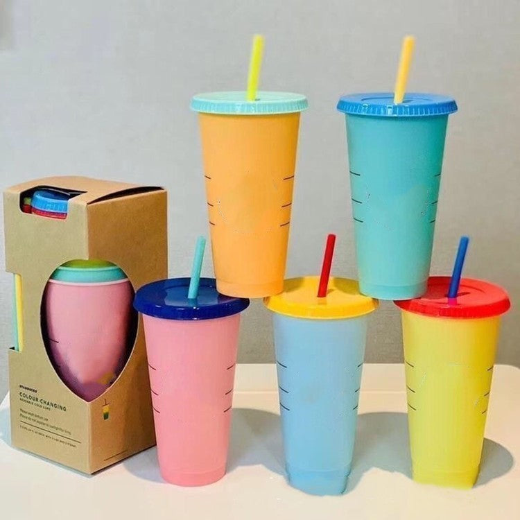 Custom Logo Internet celebrity color-changing water cup straw cup | Premium Corporate Gifts and Custom Gifts